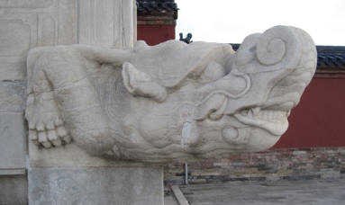 More dragons